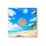 Seashell - Single Eyeshadow