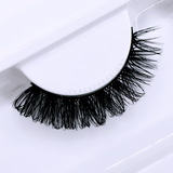 Fairy Lash Extensions